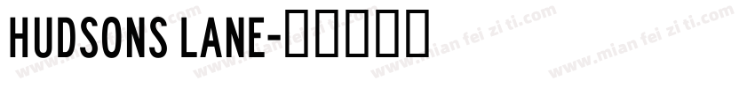 Hudsons lane字体转换